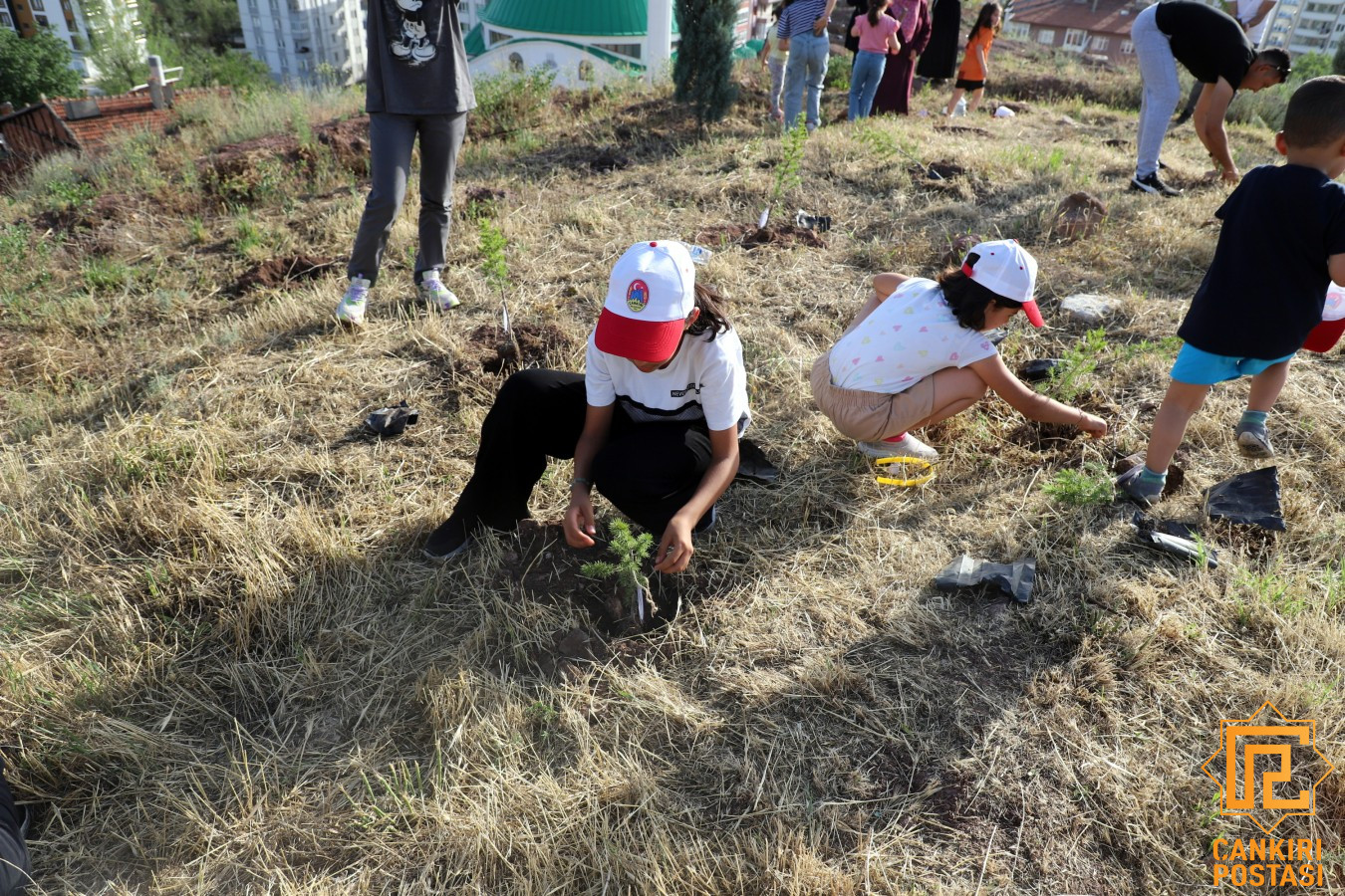 Çankırı'da çocuklar sevdiklerinin ismini fidanlara verdi