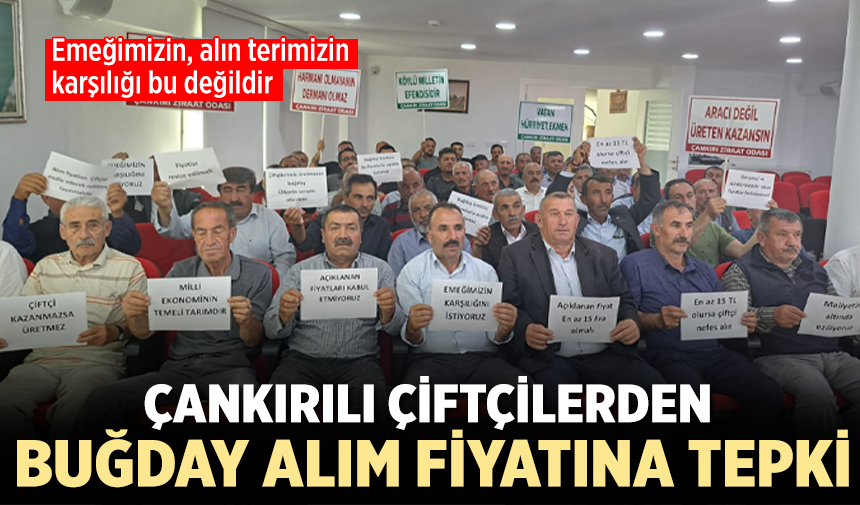 Çankırılı çiftçilerden TMO'nun buğday alım fiyatına tepki