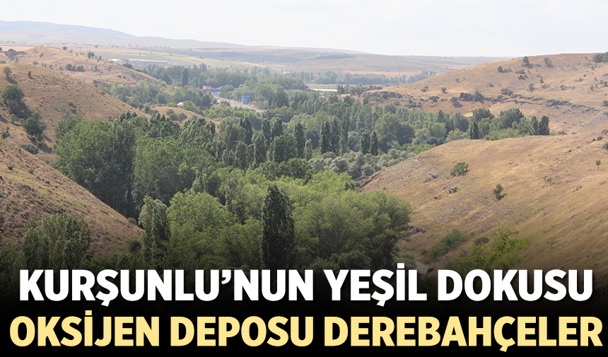 Kurşunlu’nun oksijen deposu Derebahçeler