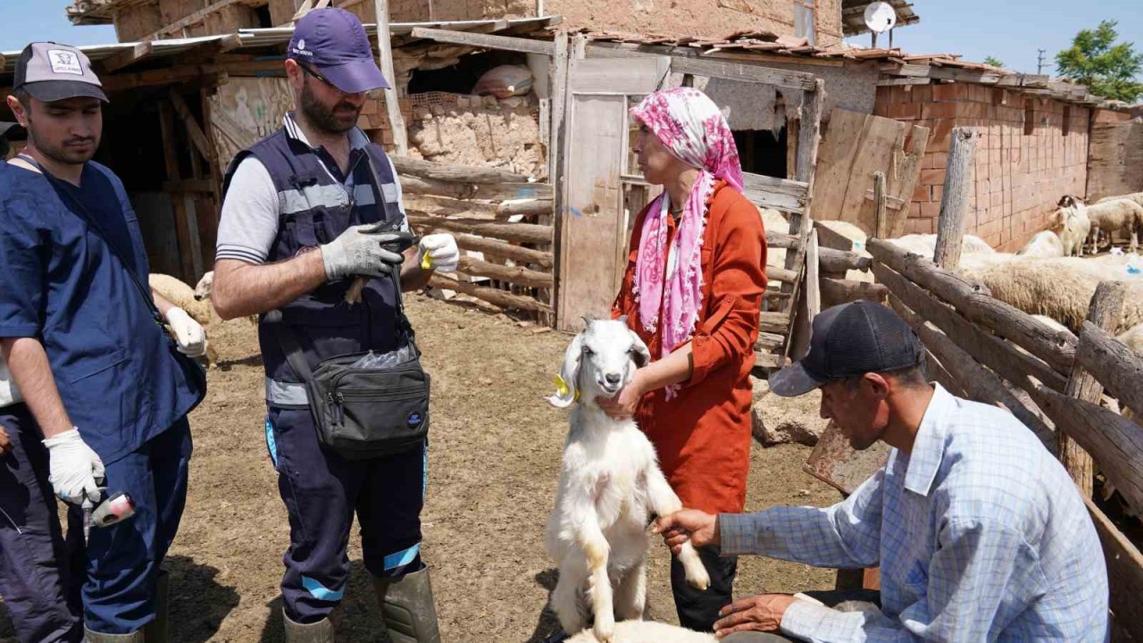 Çankırı'da ki çiftçilere uyarı: "Destek alamayacaklar"