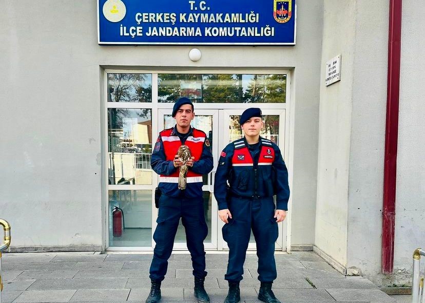 Çankırı'da jandarma ekipleri yaralı olarak buldukları şahine nefes oldu