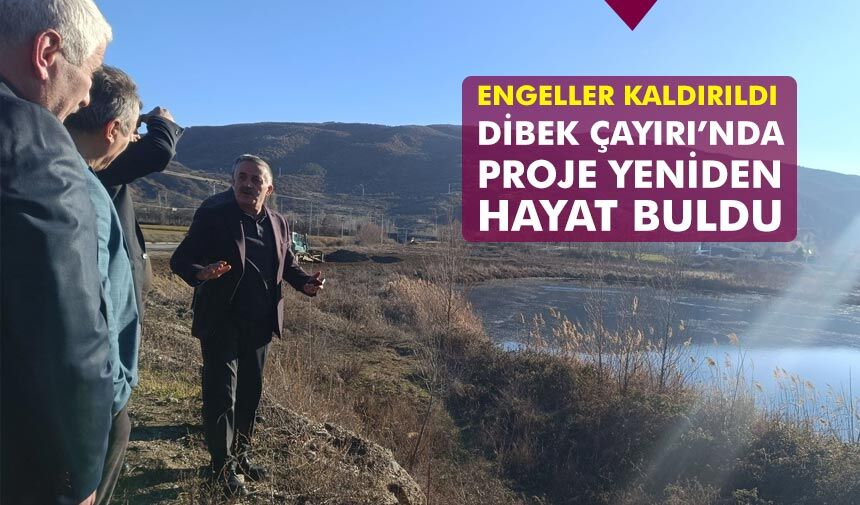 Engeller kaldırıldı Dibek Çayırı Projesi yeniden hayat buldu