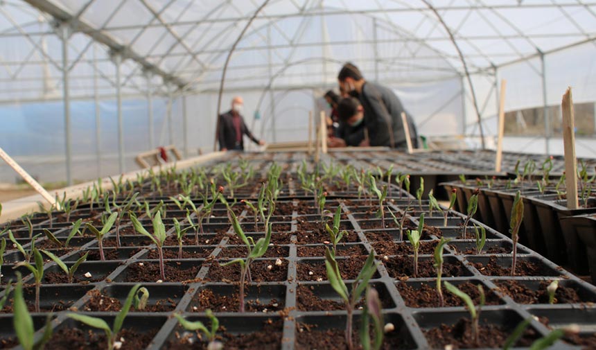 Çankırı Tarım Lisesi bilinçli üreticiler yetiştirmeye devam ediyor