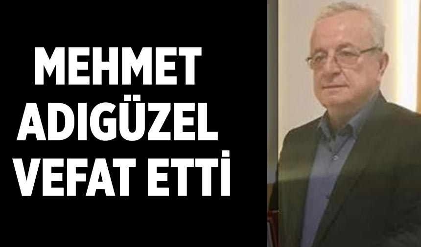 Mehmet Adıgüzel vefat etti