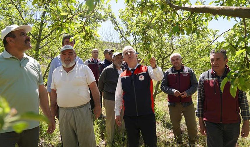 Tarım İl Müdürü Candan, çiftçilerle sahada buluştu