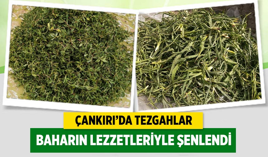 Çankırı’da tezgahlar baharın lezzetleriyle şenlendi