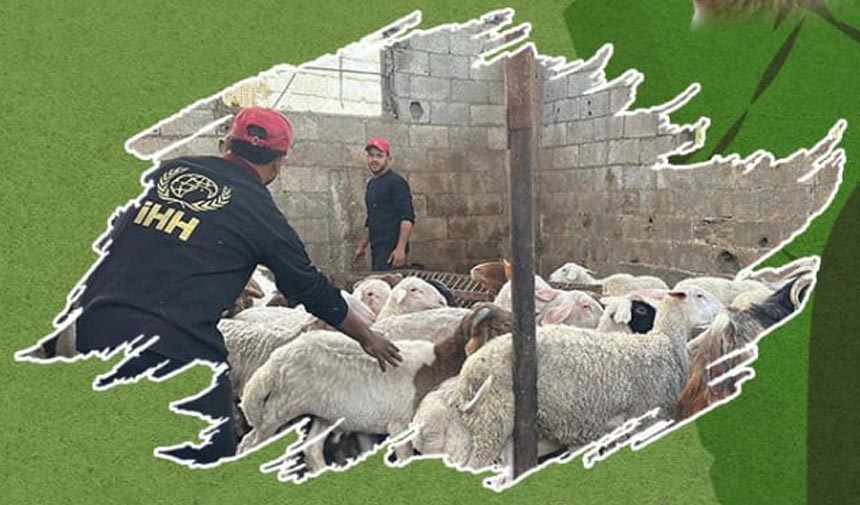Çankırı İHH kurban organizasyonu için hazırlıklara başladı