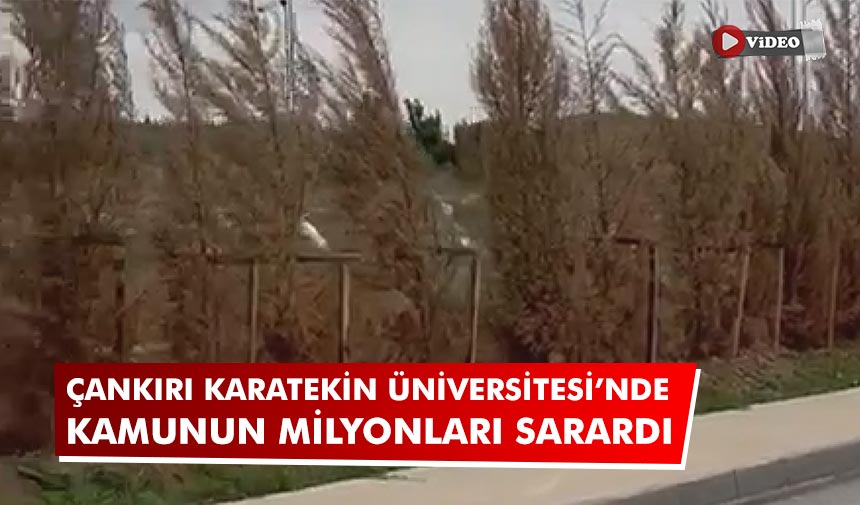 Çankırı Karatekin Üniversitesi’nde kamunun milyonlarca lirası sarardı