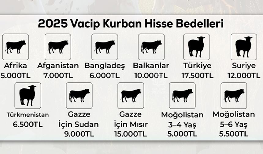 Yesevi Hareketi Yurtdışı Kurban Kesim hazırlıklarına başladı