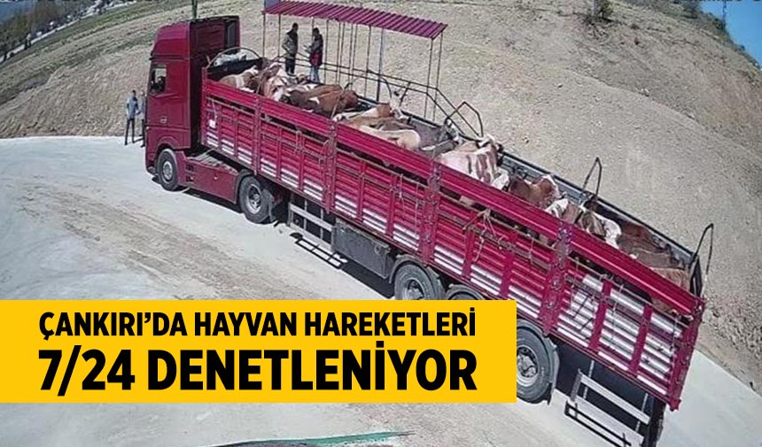 Çankırı'da hayvan hareketleri 7/24 denetleniyor