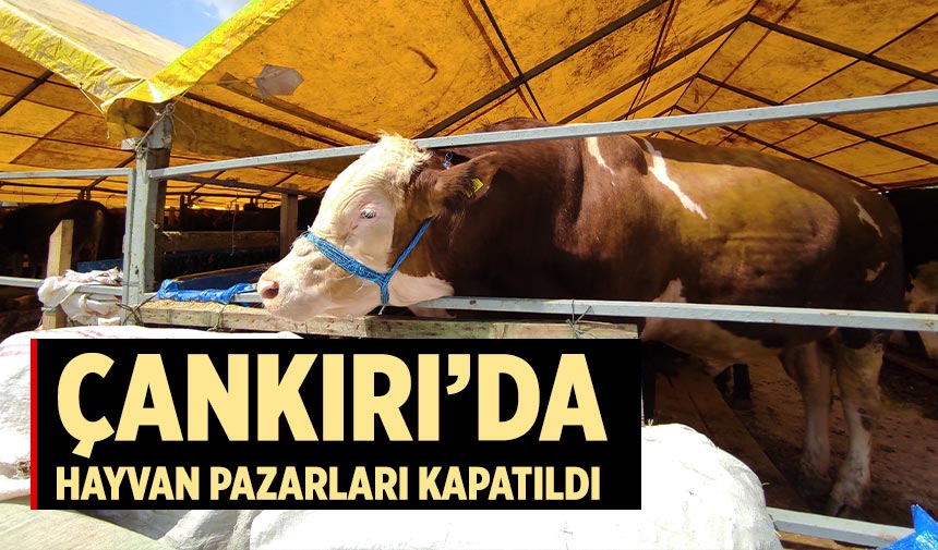 Çankırı’da Hayvan Pazarları geçici olarak kapatıldı