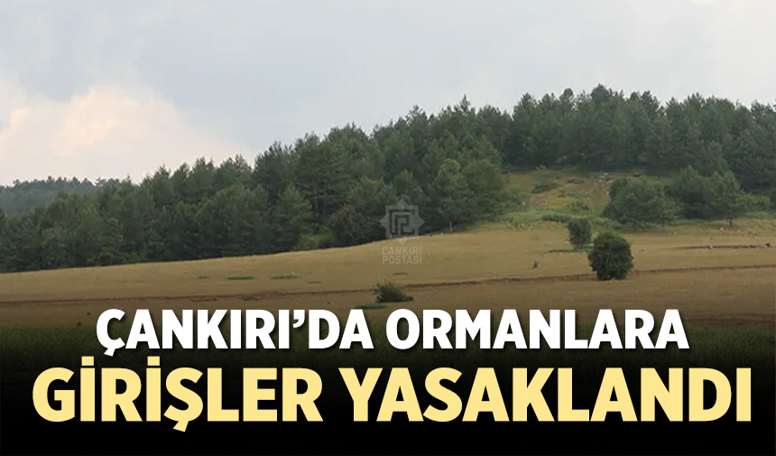 Çankırı’da ormanlık alanlara girişler yasaklandı