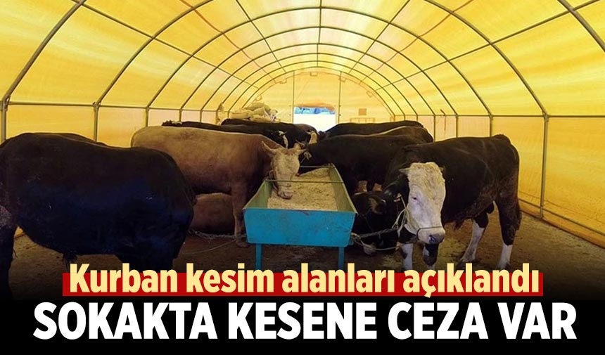 Çankırı’da kurban kesim alanları açıklandı: Sokakta kesene ceza var