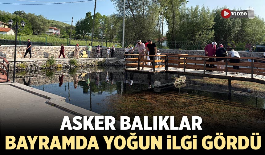 Çankırı'daki Asker Balıklar bayramda yoğun ilgi gördü