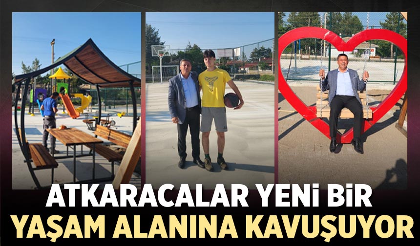 Atkaracalar yeni bir yaşam alanına kavuşuyor