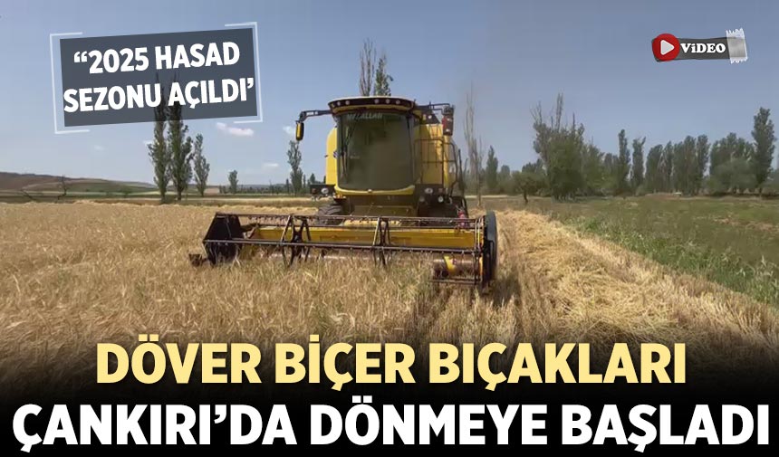 Çankırı’da Arpa hasadı başladı