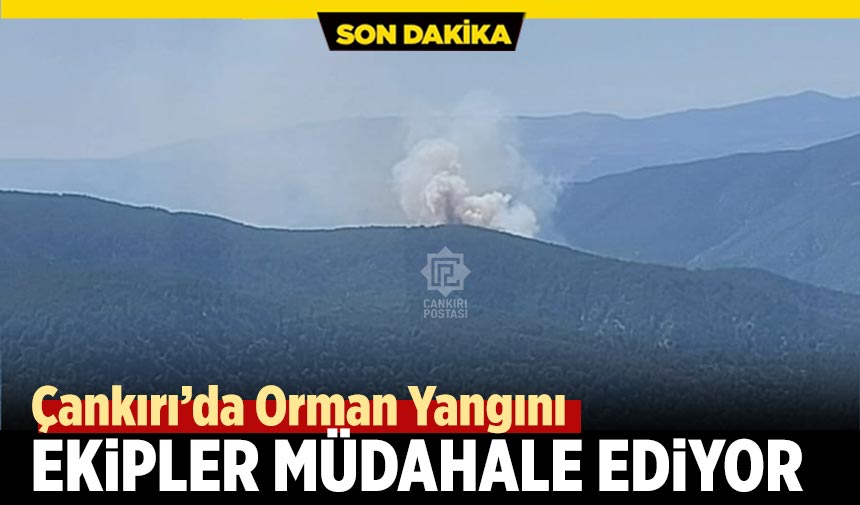 Çankırı’da Orman Yangını: Ekipler müdahale ediyor