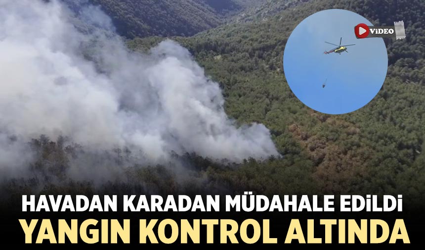 Çankırı’daki orman yangını kontrol altına alındı