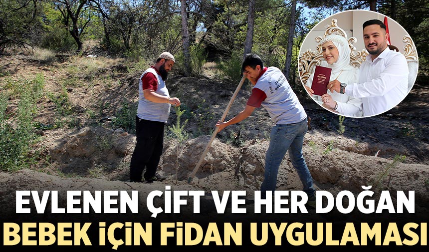 Çankırı'da yeni evlenen çiftler ve her doğan bebek için fidan uygulaması
