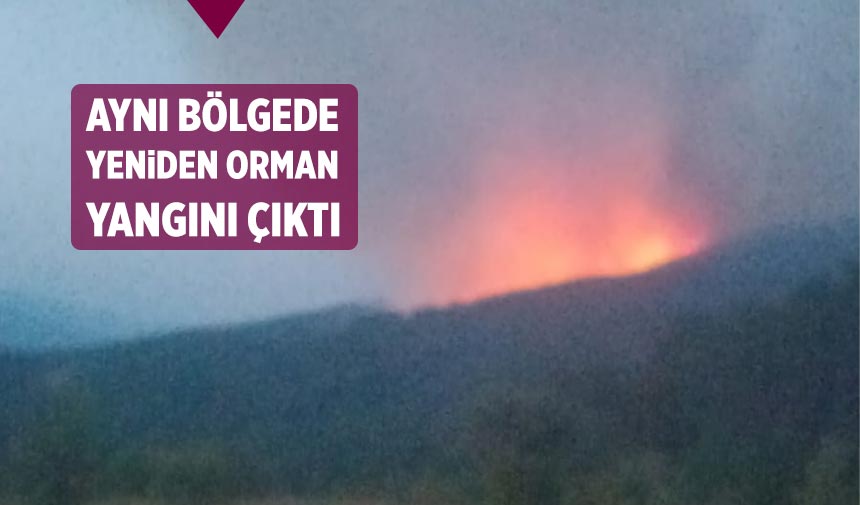 Çankırı’da aynı bölgede yeniden orman yangını çıktı