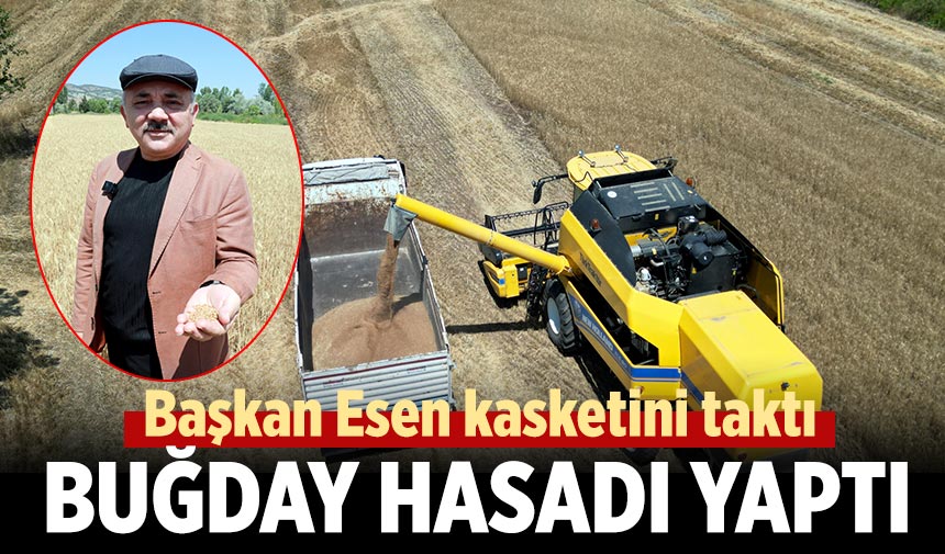 Başkan Esen biçerdöver ile buğday hasadı yaptı