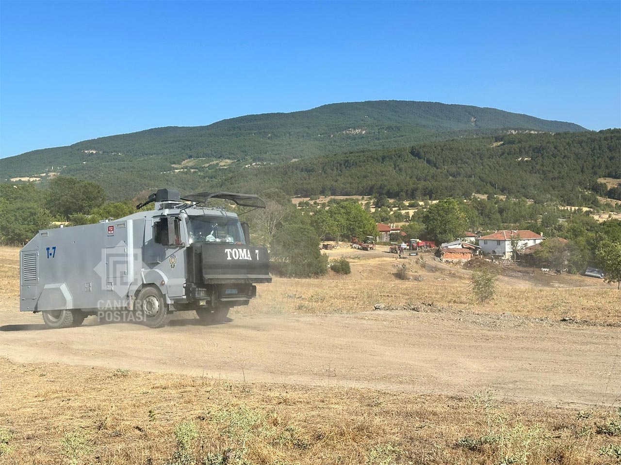 Tomlar Burada Tanal Algi Pesinde 2