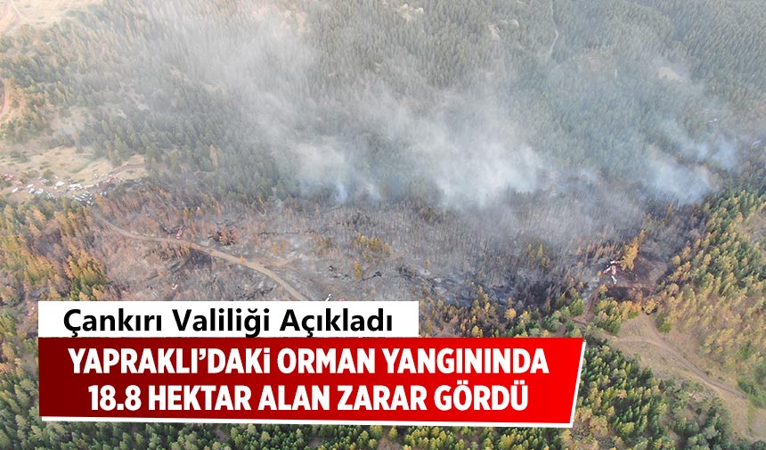 Yapraklı’daki orman yangınında 18.8 hektar alan kül oldu