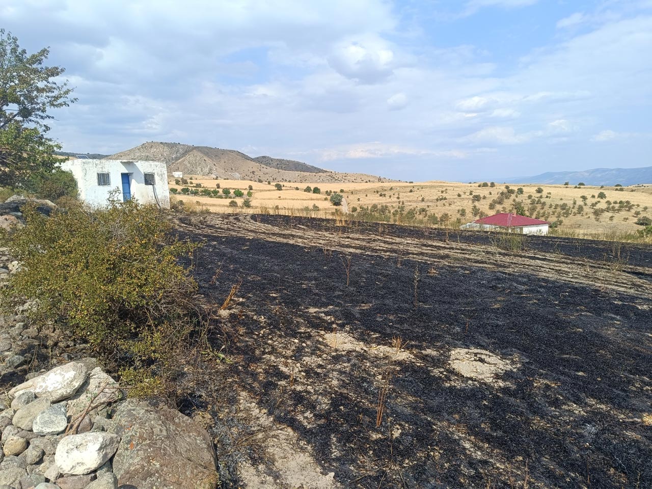 Cankiri Ekili Alan Yangin 2