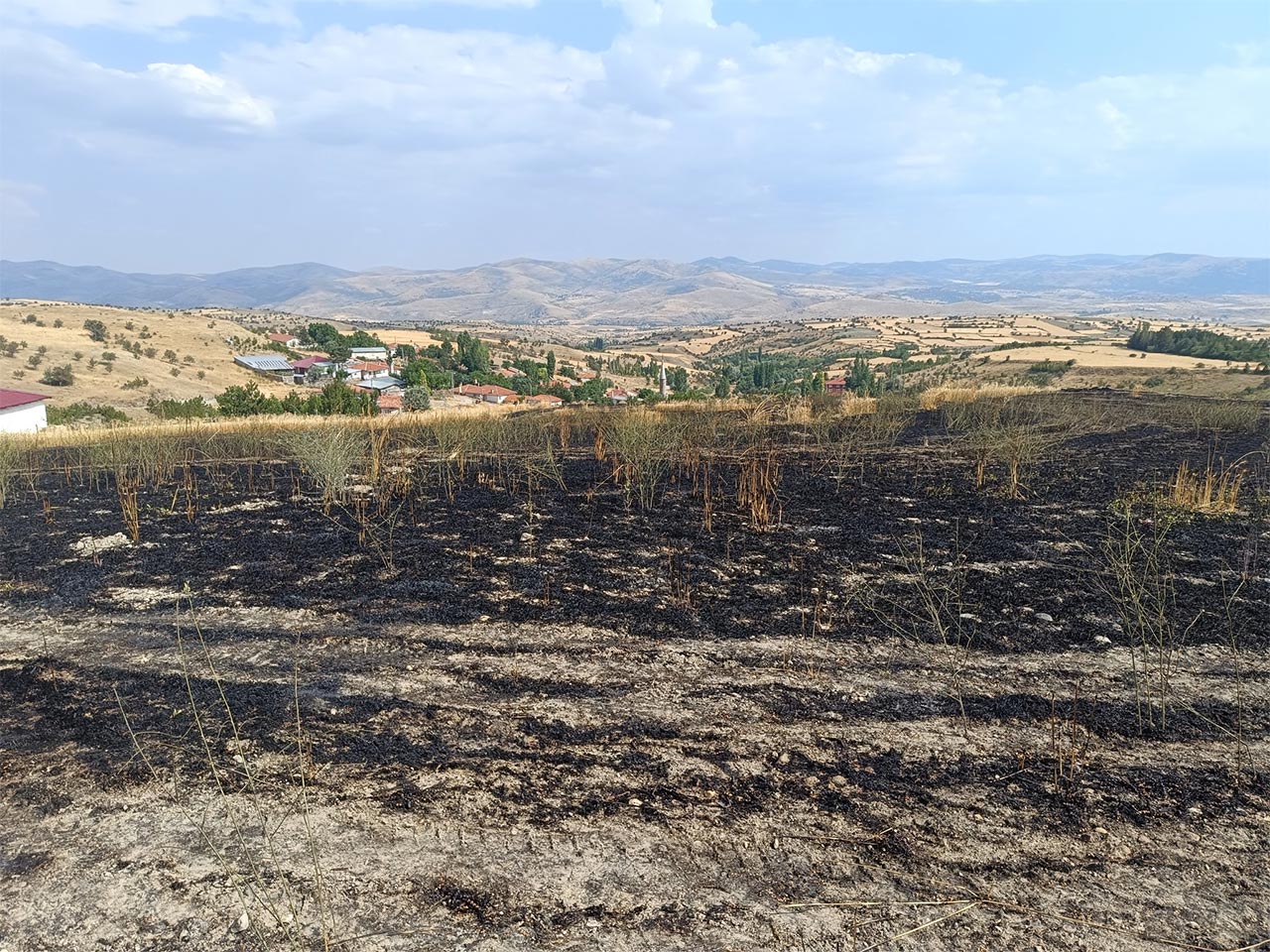 Cankiri Ekili Alan Yangin 3