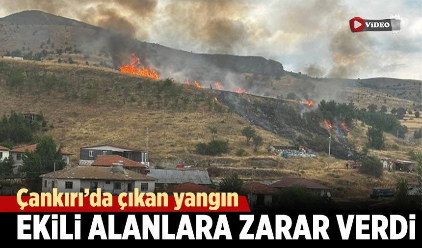 Çankırı’da çıkan yangın ekili alanlara zarar verdi