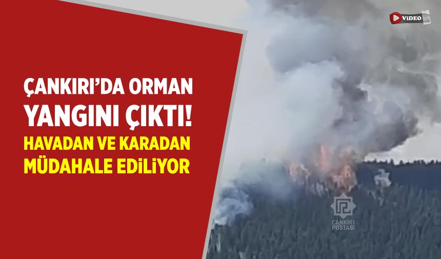 Çankırı’da orman yangını çıktı!
