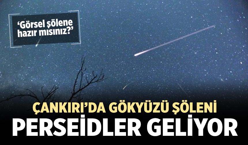 Perseid Meteor Yağmuru Çankırı semalarında parlayacak