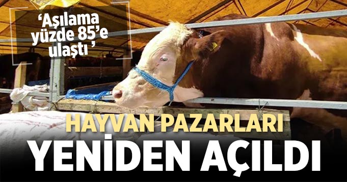 Çankırı’da hayvan pazarları yeniden açıldı