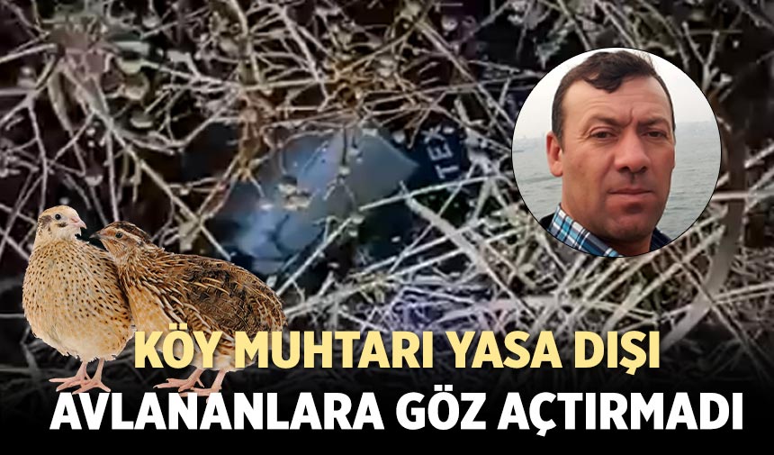 Çankırı'da köy muhtarı yasa dışı avlananlara göz açtırmadı