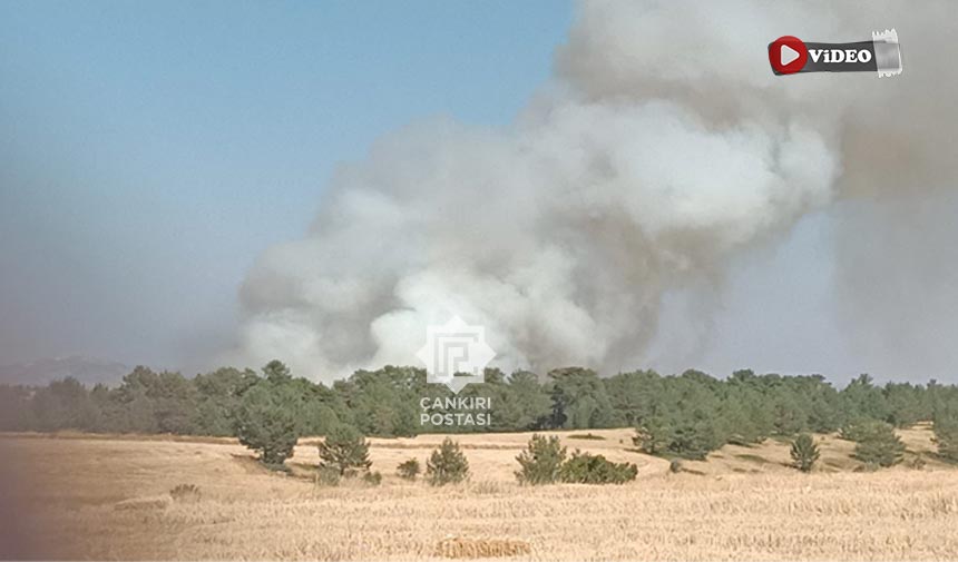 Çankırı Atkaracalar Hüyük Mevkiinde orman yangını