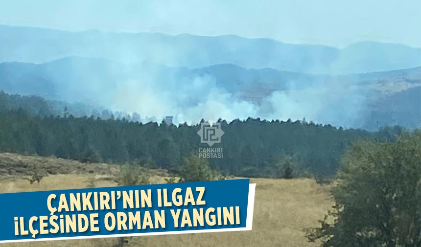 Çankırı’nın Ilgaz ilçesinde orman yangını