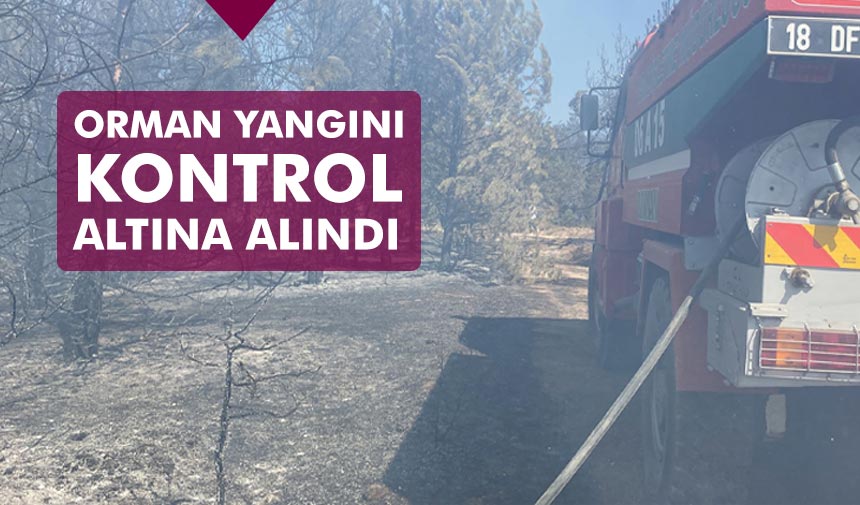Ilgaz’da orman yangını kontrol altına alındı