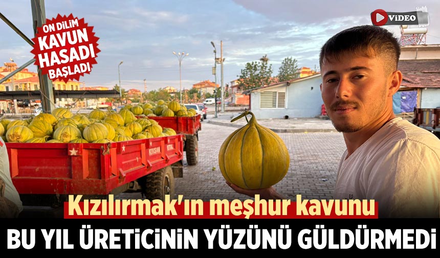Kızılırmak'ın meşhur kavunu bu yıl üreticinin yüzünü güldürmedi