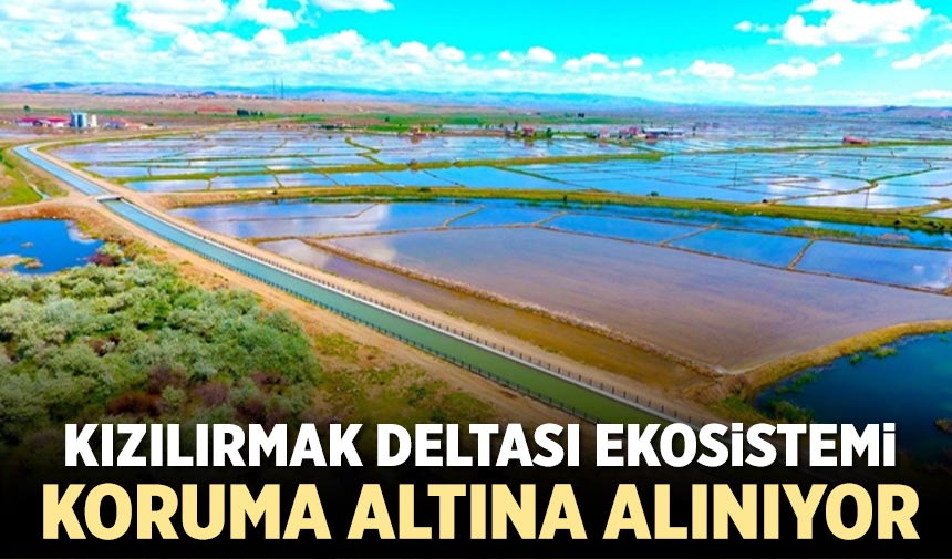 Kızılırmak Deltası Ekosistemi koruma altına alınıyor