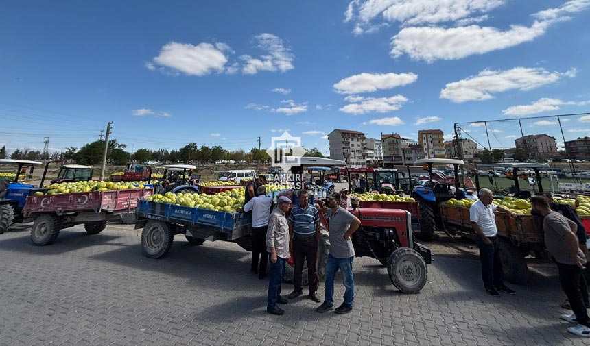 Kizilirmak Kavun Fiyatlari 2