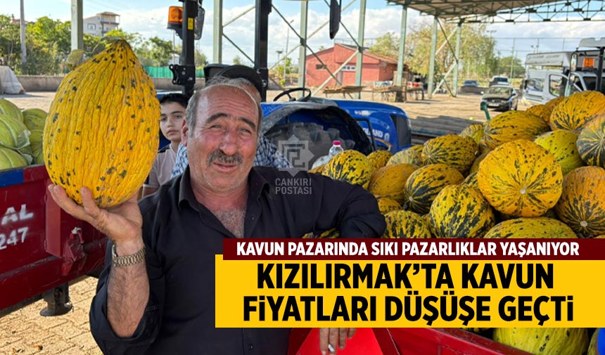 Kızılırmak’ta kavun fiyatları düşüşe geçti