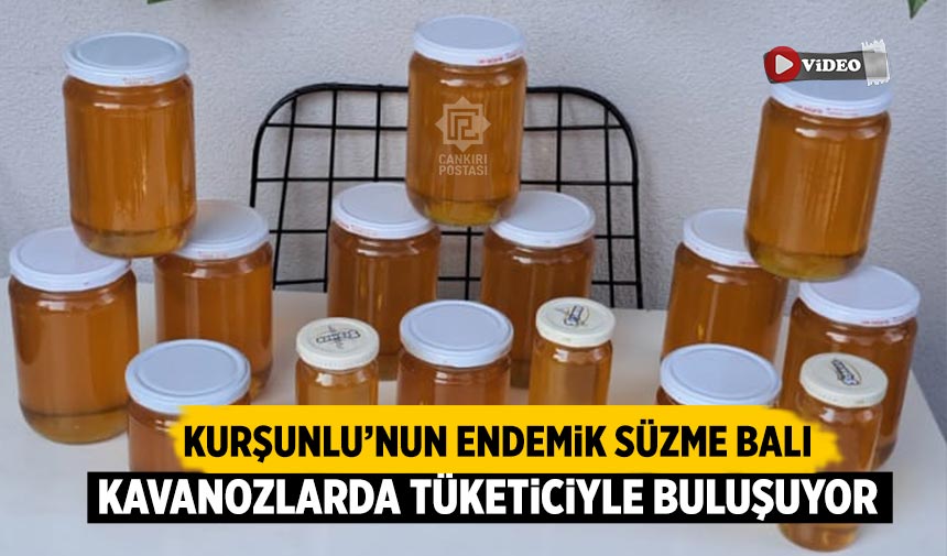 Kurşunlu’nun endemik süzme balı kavanozlarda tüketiciyle buluşuyor