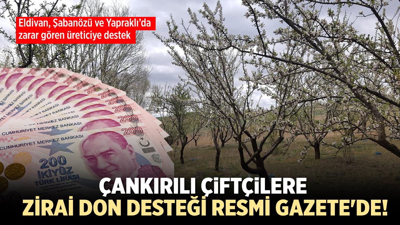 Çankırılı çiftçilere zirai don desteği resmi gazete'de!