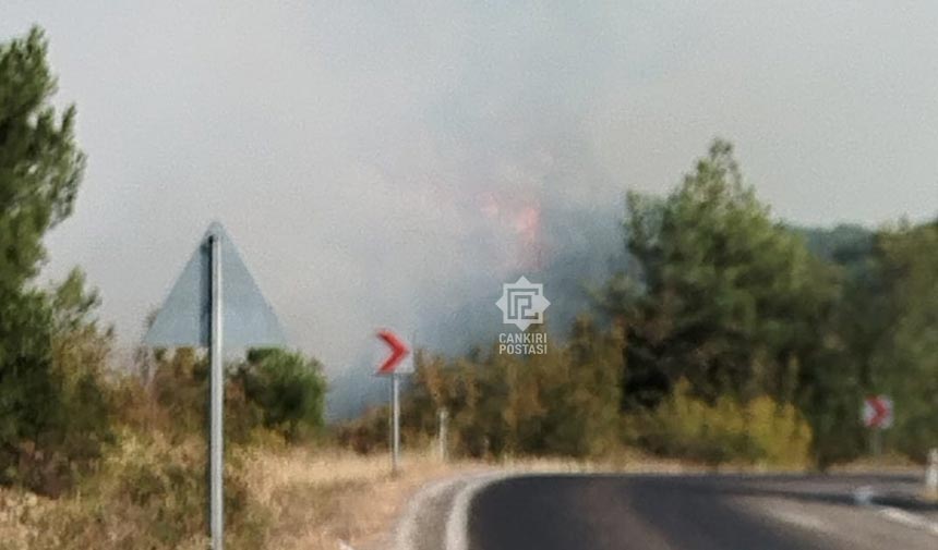 Orman Yangini Cankiri Siniri 1