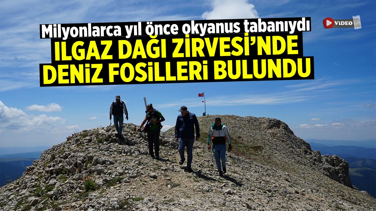 Ilgaz Dağı zirvesinde deniz fosilleri bulundu