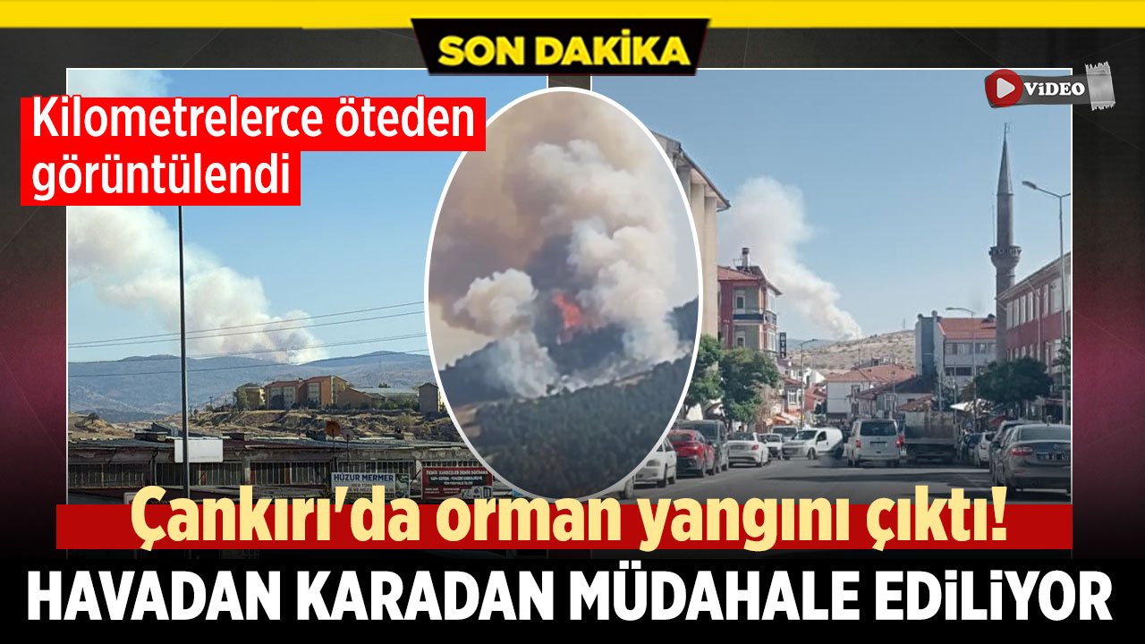Çankırı'da orman yangını çıktı