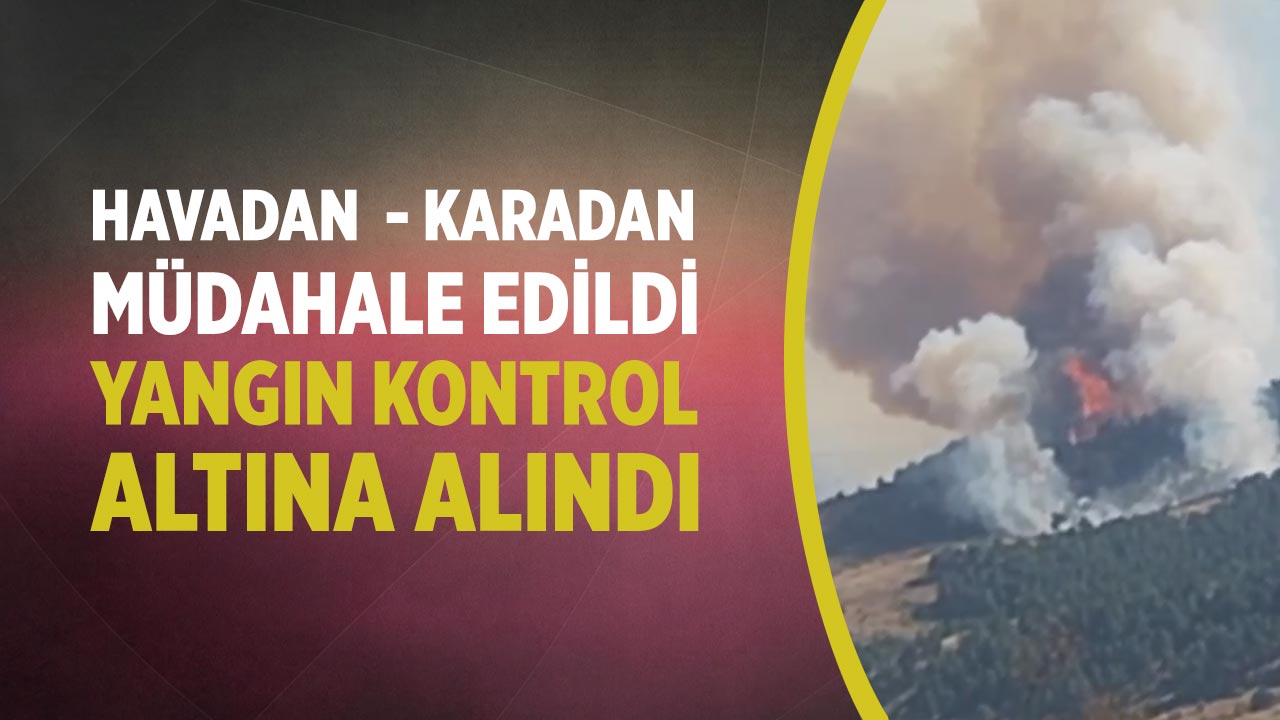 Çankırı’da orman yangını kontrol altına alındı