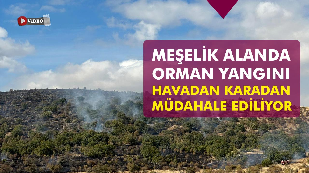 Çankırı’da meşelik alanda orman yangını