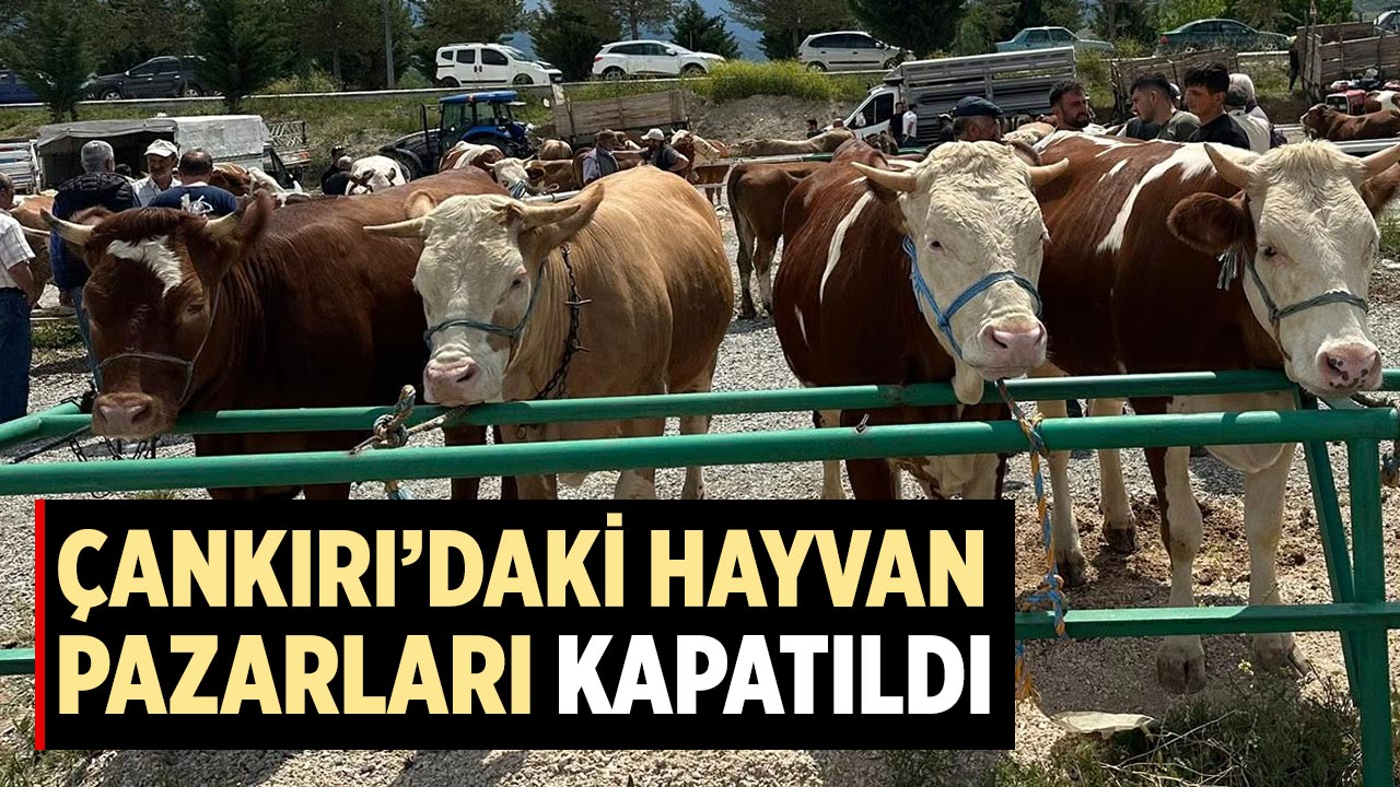 Çankırı’daki hayvan pazarları ikinci bir emre kadar kapatıldı