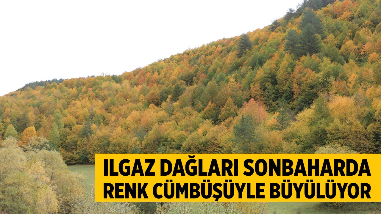 Ilgaz Dağları sonbaharda renk cümbüşüyle büyülüyor
